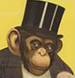 RabidChimp's Avatar