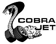 Cobra Jet's Avatar